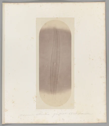 [Untitled] by Auguste-Adolphe Bertsch, photograph, 1853-1857
