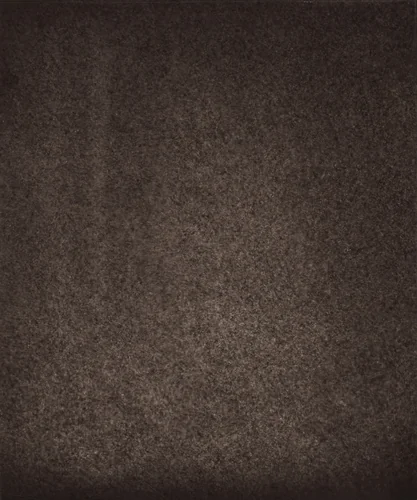 Région Centrale (Petit Réseau), September 5, 1879, 8h 33m 50s by Jules Janssen, photograph, 1877