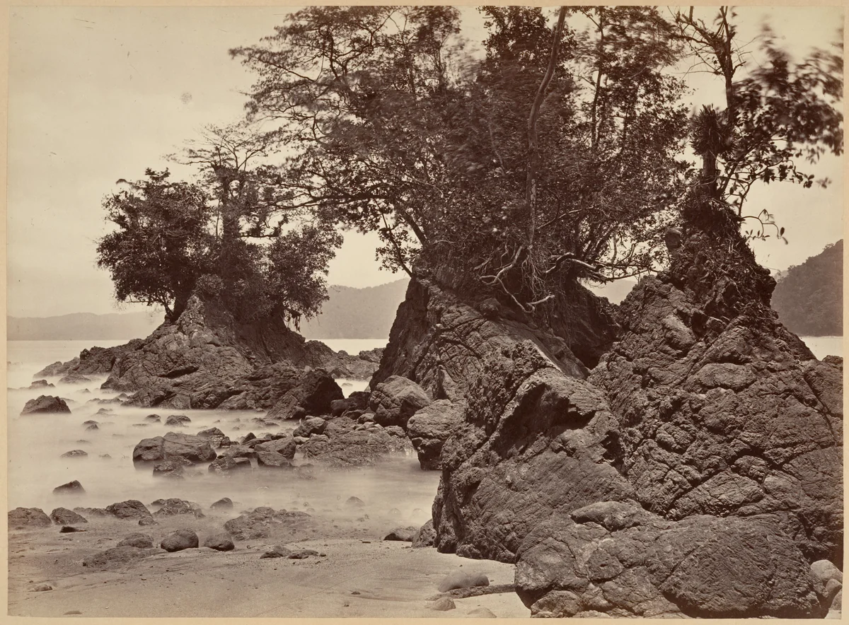 Tropical Scenery, Limon Bay - Low Tide by John Moran, photograph, 1871
