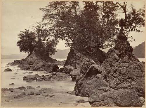 Tropical Scenery, Limon Bay - Low Tide by John Moran, photograph, 1871