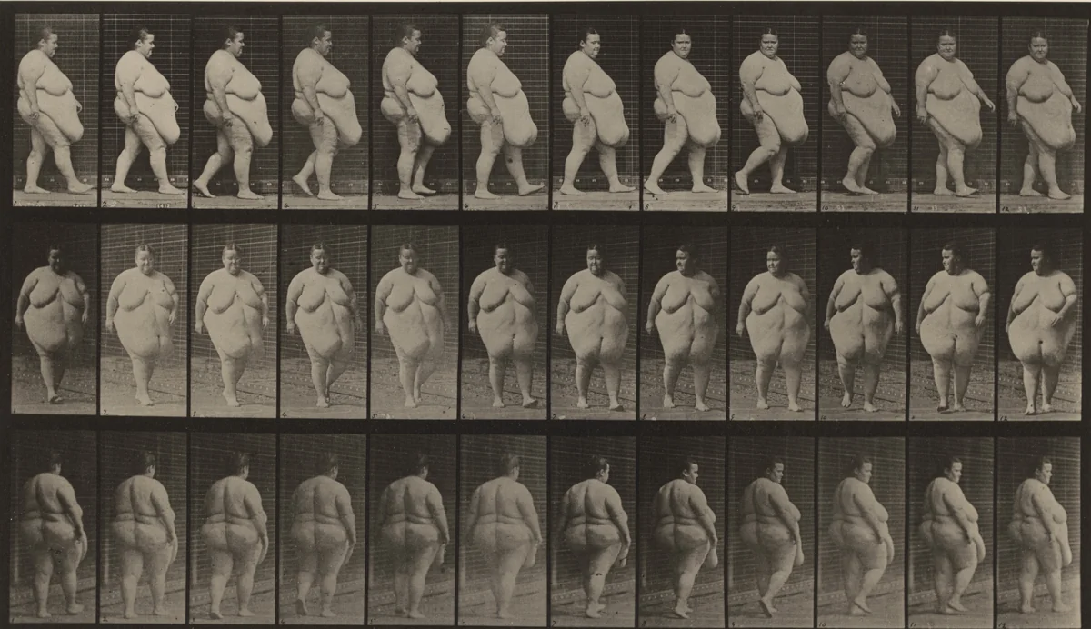 Plate Number 19. Walking, commencing to turn around by Eadweard Muybridge, photograph, 1887