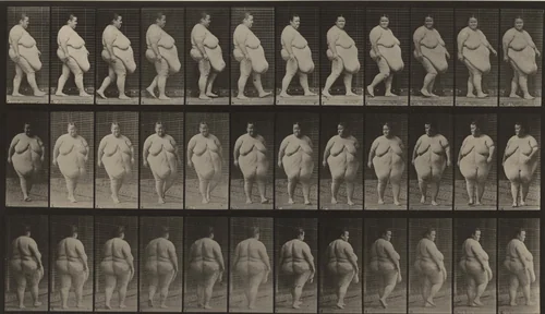 Plate Number 19. Walking, commencing to turn around by Eadweard Muybridge, photograph, 1887