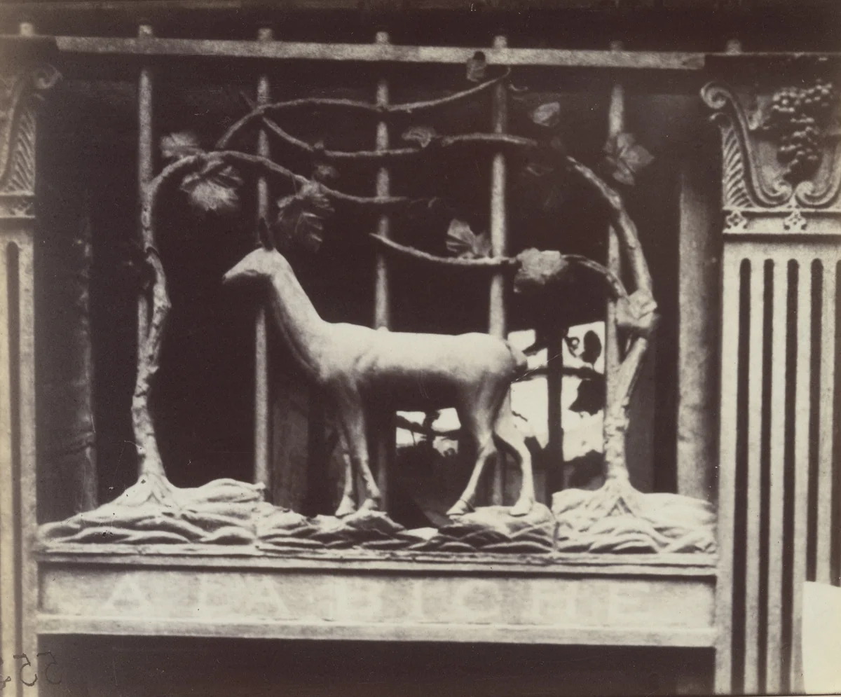 A la Biche, rue Geoffroy-Saint-Hilaire by Eugène Atget, photograph, 1905