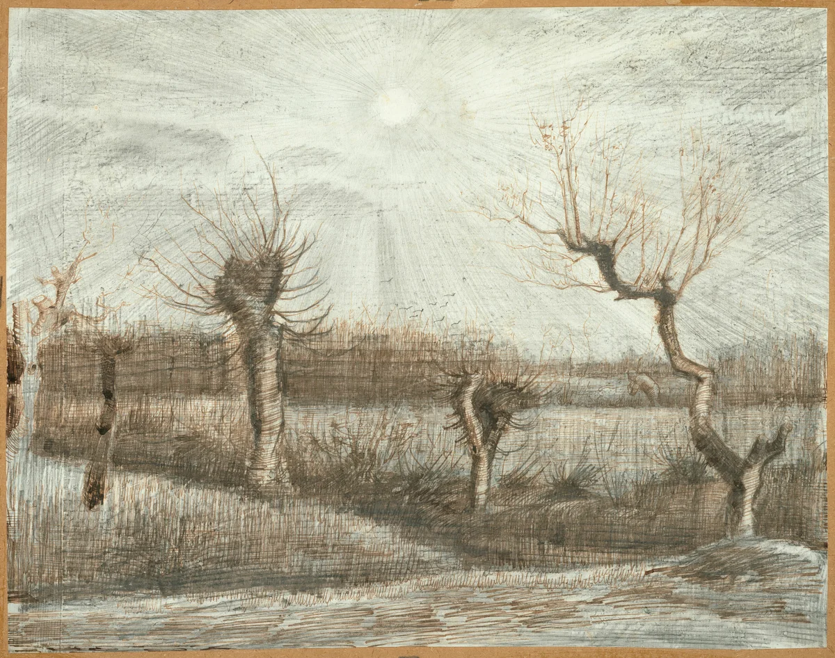 Tetards (Pollards) by Vincent van Gogh, drawing, 1884