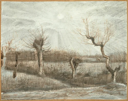 Tetards (Pollards) by Vincent van Gogh, drawing, 1884