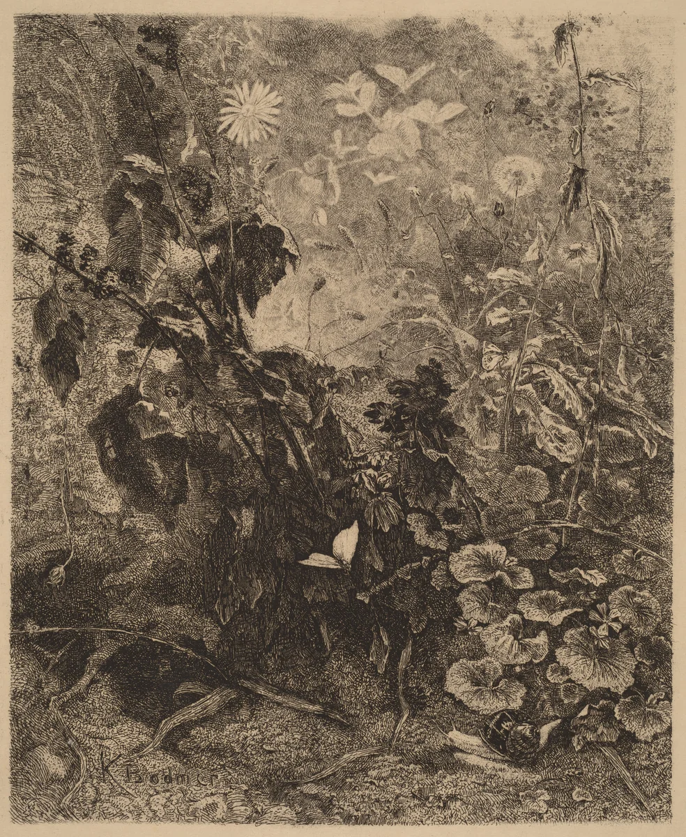 Escargots et papillons by Karl Bodmer, print, 1809-1893