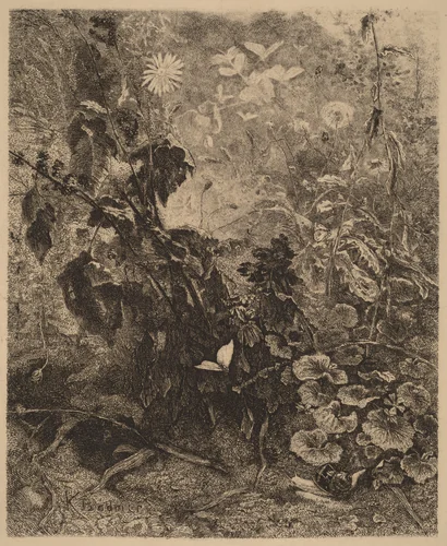 Escargots et papillons by Karl Bodmer, print, 1809-1893