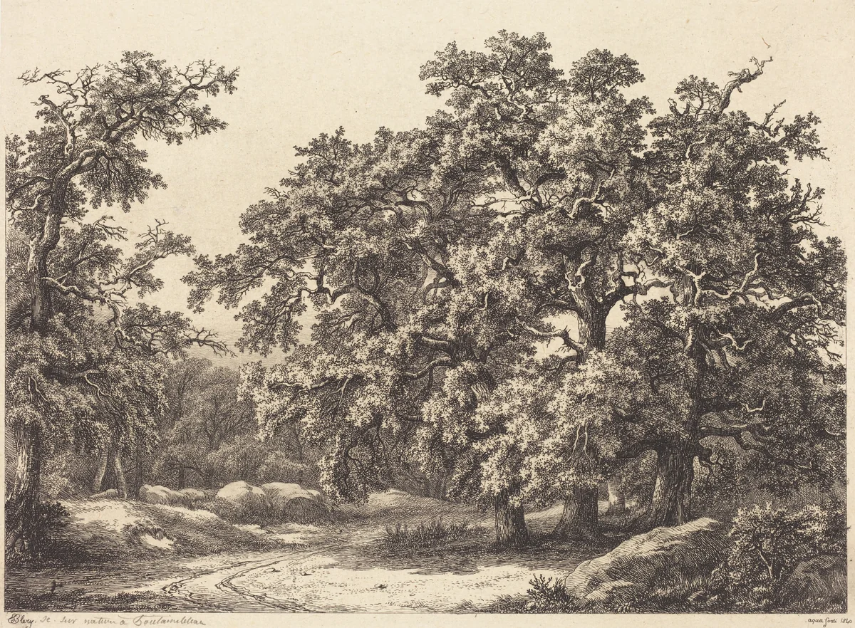 Oaks by Eugène Bléry, portfolio, 1840
