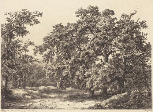 Oaks by Eugène Bléry, portfolio, 1840