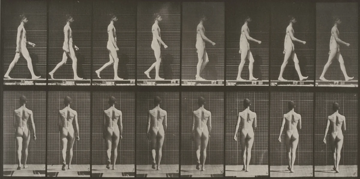 Plate Number 9. Walking by Eadweard Muybridge, photograph, 1887