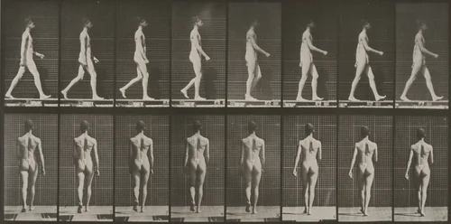 Plate Number 9. Walking by Eadweard Muybridge, photograph, 1887