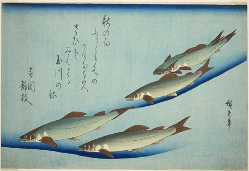 River trout by Utagawa Hiroshige (歌川広重), print, 1827-1849