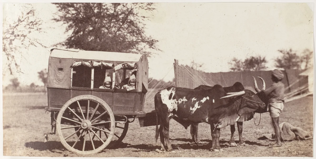 [Campbell Twins in a Shigram, Governor General's Camp] by Jean Baptiste Oscar Mallitte, photograph, 1858-1861