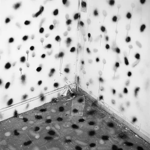 74V01 by John Divola, photograph, 1973-1975