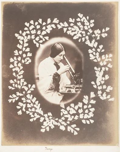 Thereza by John Dillwyn Llewelyn, photograph, 1853-1856