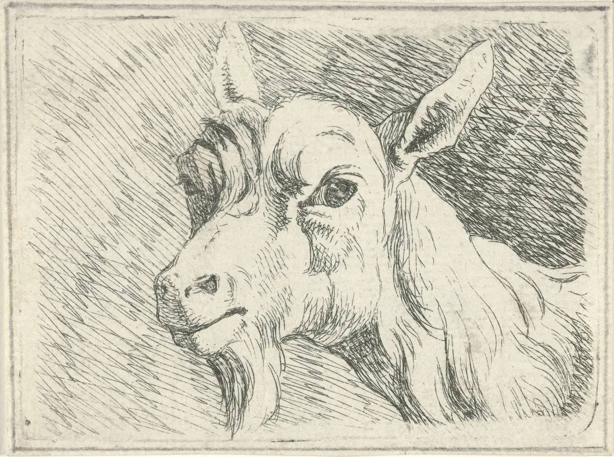 Geitekop, naar links by Hermanus Fock, print, 1781-1822