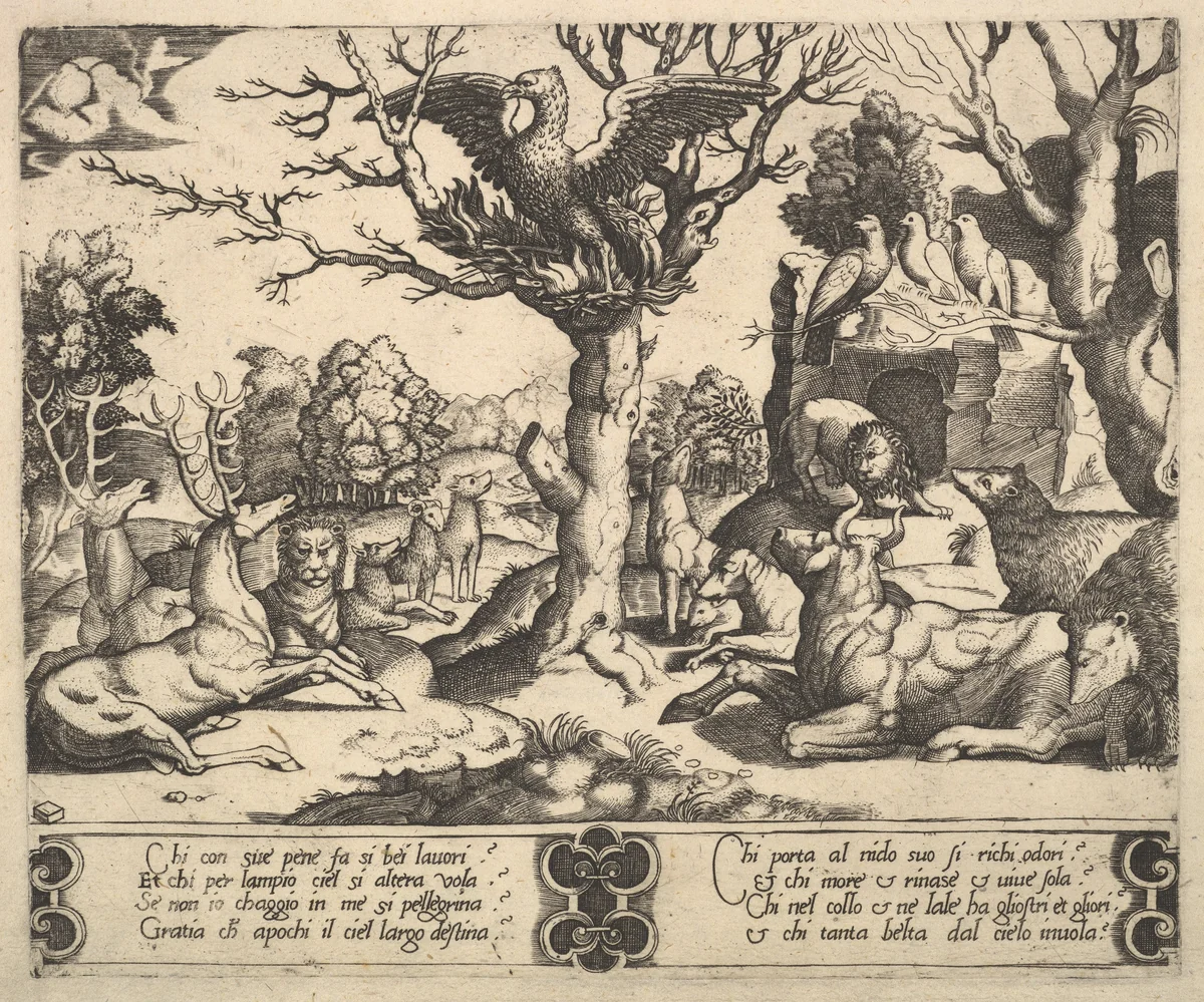 A phoenix sat atop a tree, wings open, an assortment of animals below by Master of the Die, print, 1530-1560