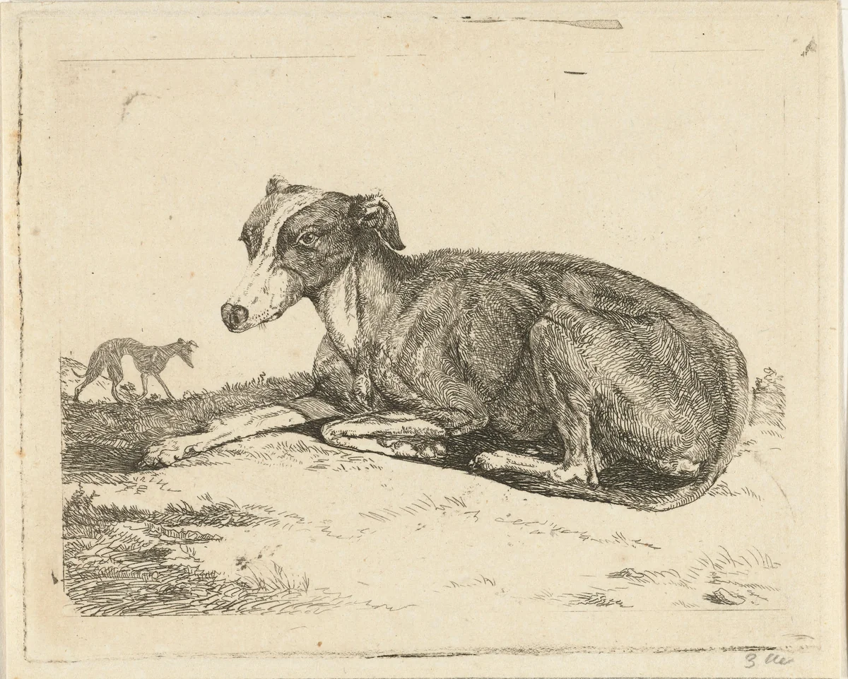 Hazewindhonden by Jan Dasveldt, print, 1780-1855