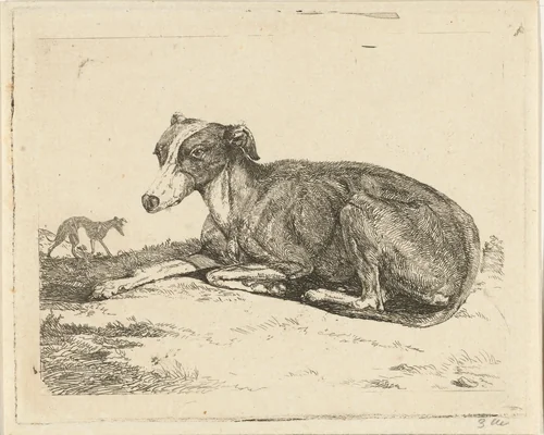 Hazewindhonden by Jan Dasveldt, print, 1780-1855