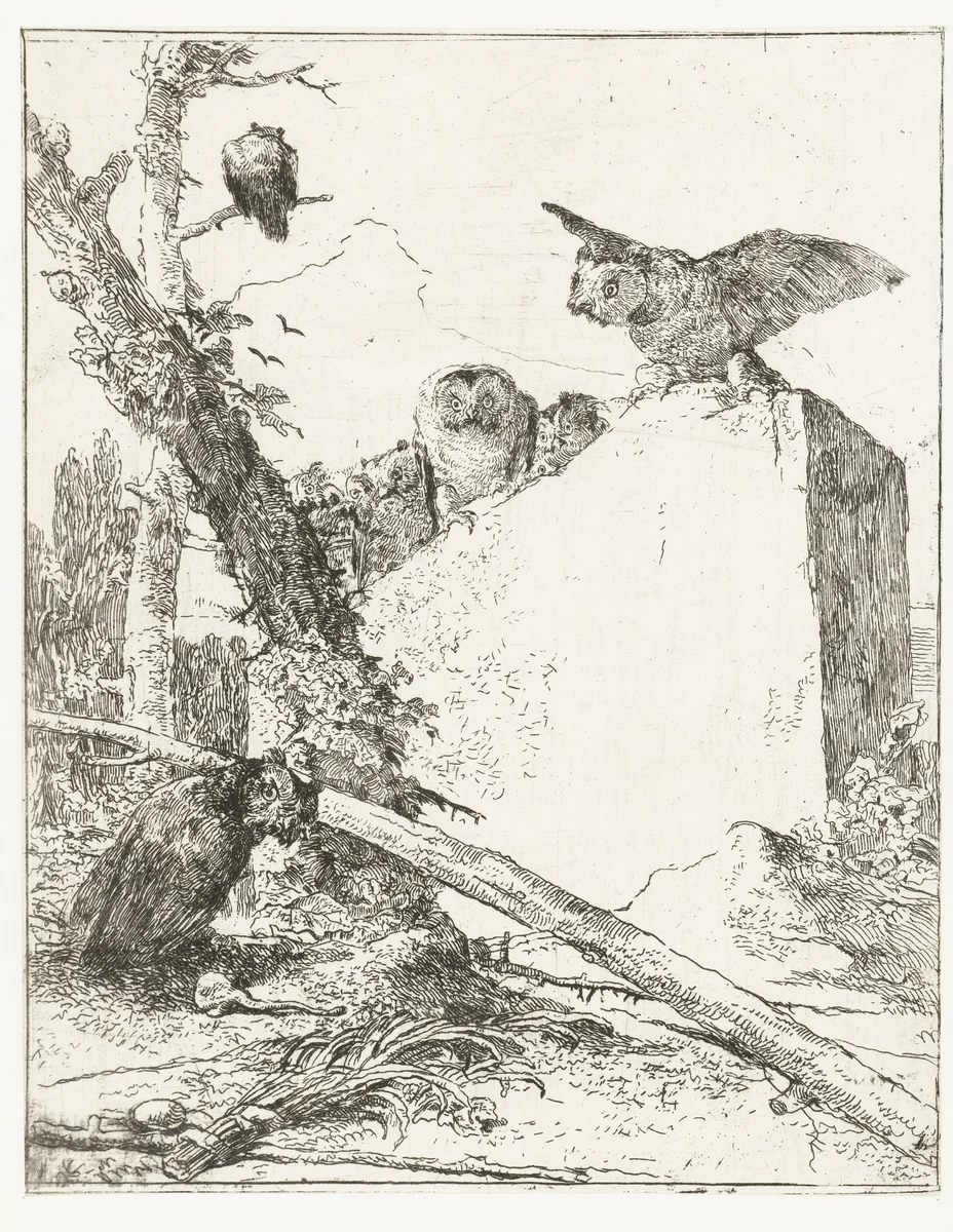 Titelprent voor Scherzi di fantasia met uilen bij een steen by Giovanni Battista Tiepolo, print, 1750-1762