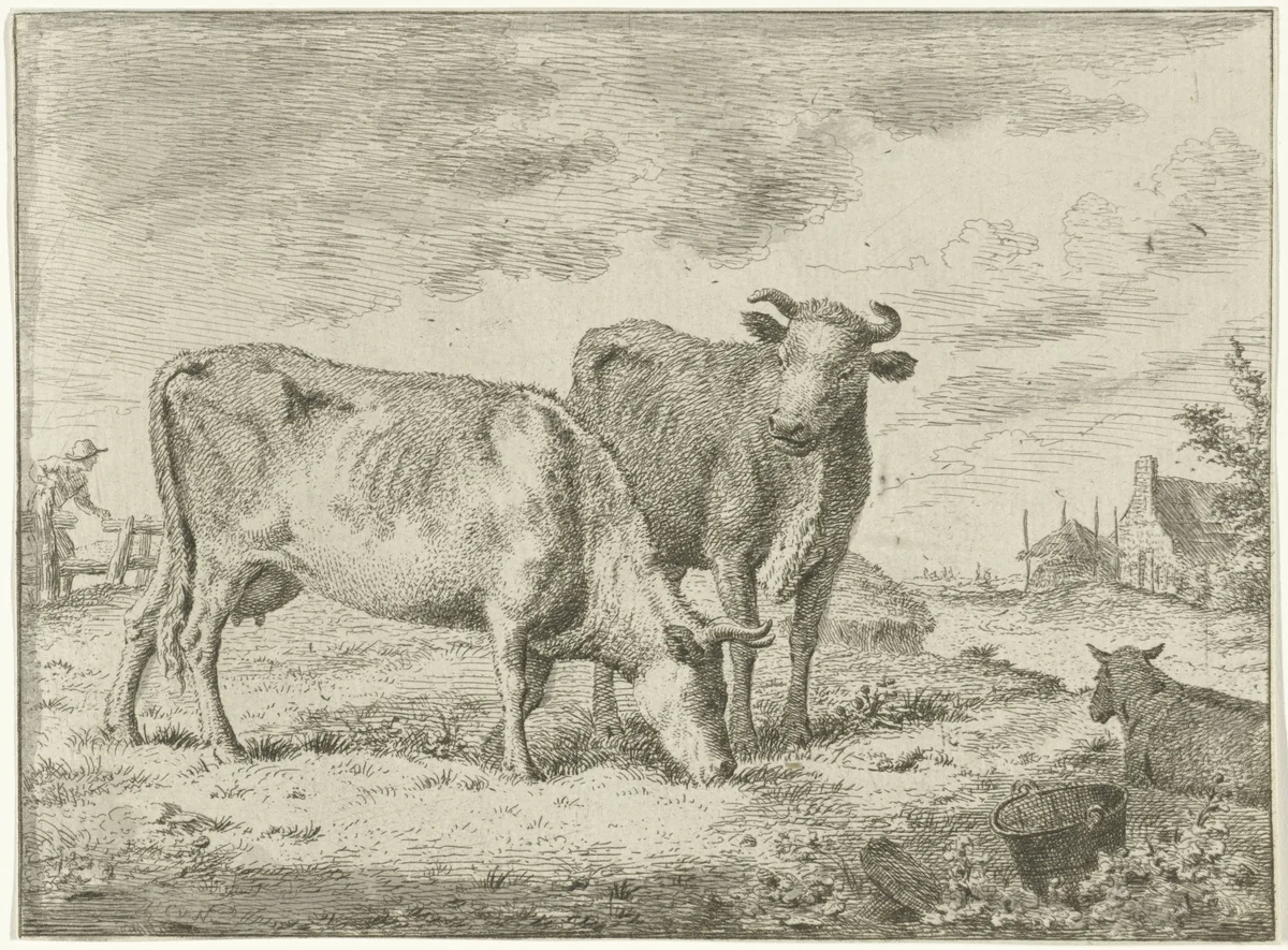 Twee staande koeien by Cornelis van Noorde, print, 1741-1795