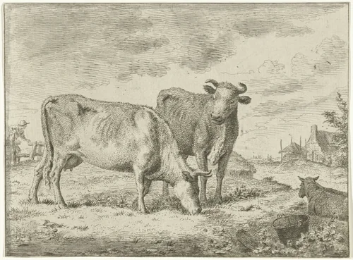 Twee staande koeien by Cornelis van Noorde, print, 1741-1795