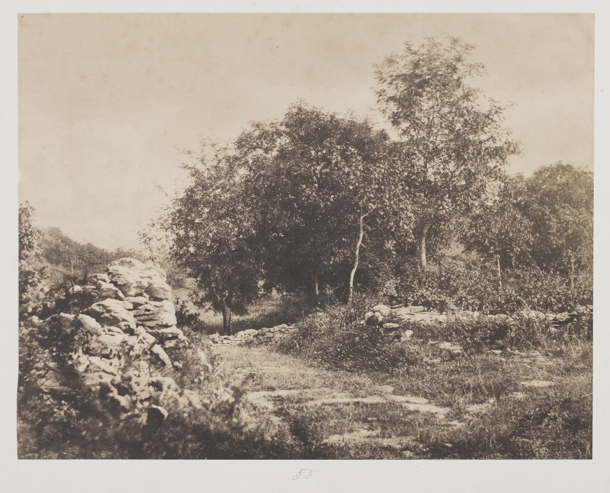 Untitled (Scene of Fontainebleau) by André Giroux, photograph, 1848-1858