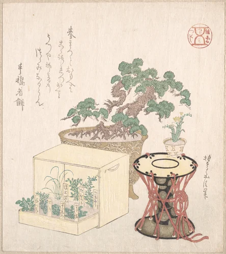 Potted Pine Tree Drum and Seven Herbs Planted in a Box by Sunayama Gosei, print, 1700-1899