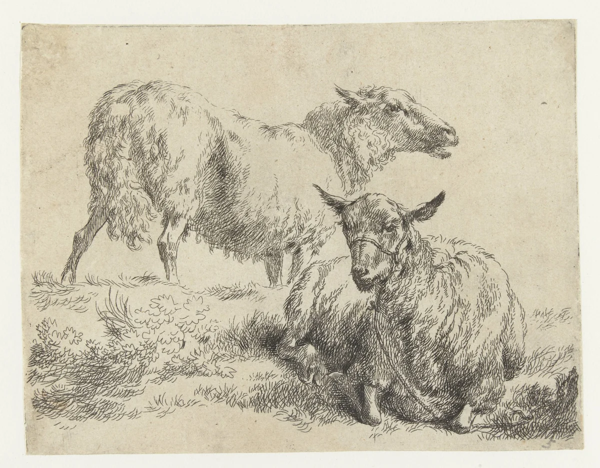 Liggend schaap met halster en staand schaap by Nicolaes Pietersz Berchem, print, 1648-1652