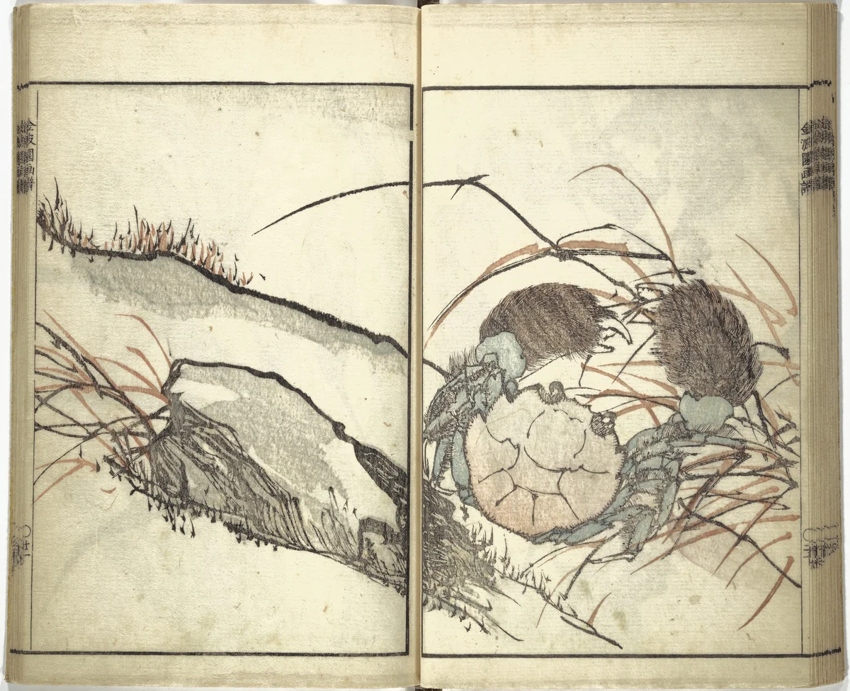 Kinpaen (Bunpō) Picture Album (Kinpaen gafu) 金波園画譜 by Kawamura Bunpō (河村文鳳), book, 1820
