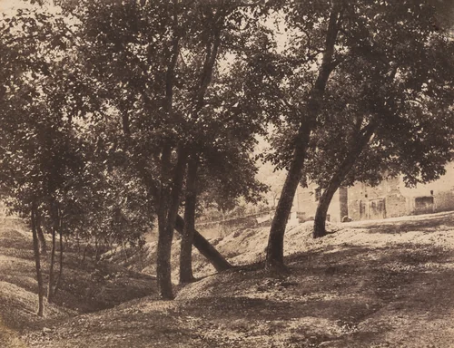 Trees by André Giroux, photograph, 1850-1860
