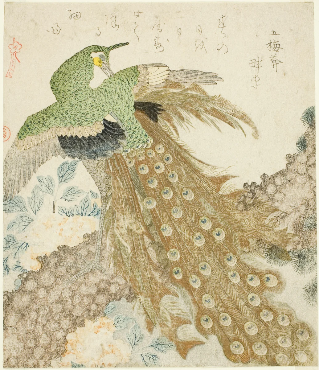 Peacock, Pine Tree, and Peonies, from the series "A Set of Three Petals (San hira no uchi)" by Kubo Shunman (窪俊満), print, 1810-1819