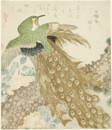 Peacock, Pine Tree, and Peonies, from the series "A Set of Three Petals (San hira no uchi)" by Kubo Shunman (窪俊満), print, 1810-1819