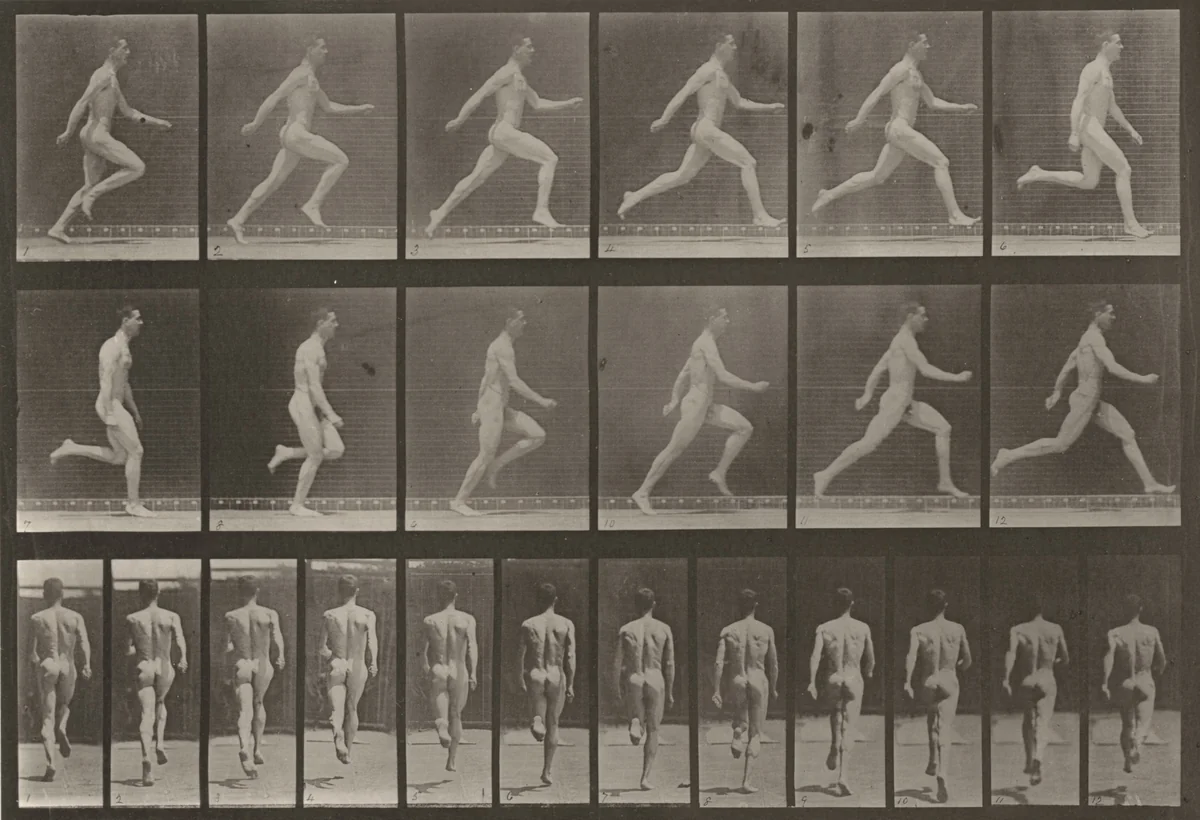 Plate Number 64. Running at full speed by Eadweard Muybridge, photograph, 1887