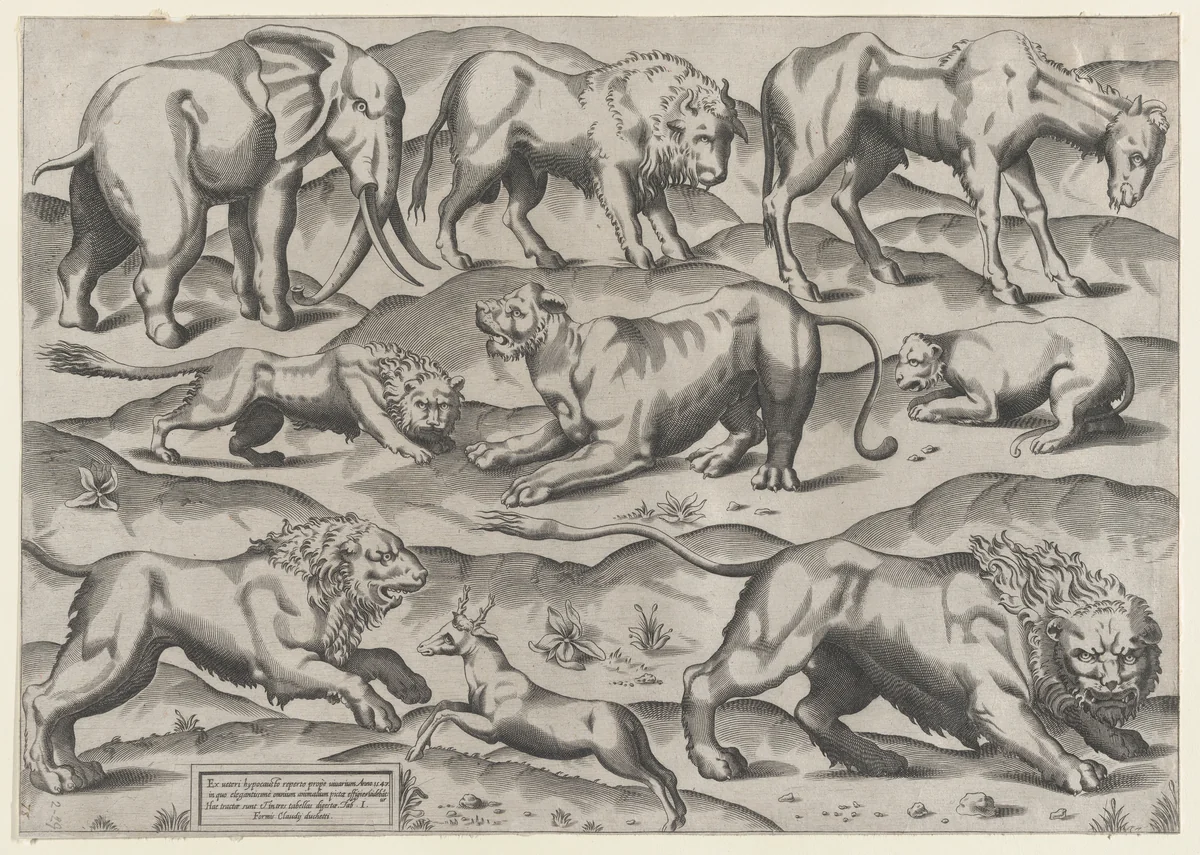 Wild Animals, from antique wall paintings, plate 1, from "Speculum Romanae Magnificentiae" by anonymous, print, 1565-1585