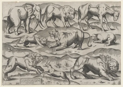 Wild Animals, from antique wall paintings, plate 1, from "Speculum Romanae Magnificentiae" by anonymous, print, 1565-1585