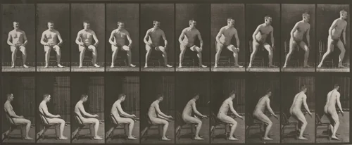 Plate Number 249. Rising from chair by Eadweard Muybridge, photograph, 1887