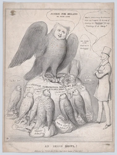 An Irish Howl [Owl]! by John Doyle, print, 1837