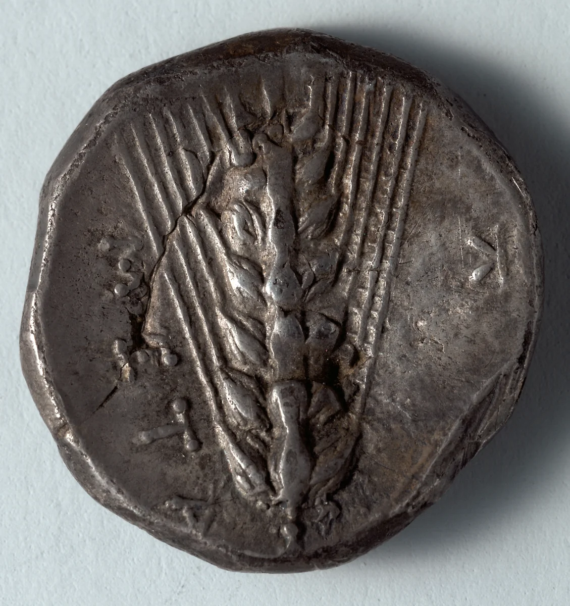 Stater: Barley (reverse) by Unknown, metalwork, -345--335