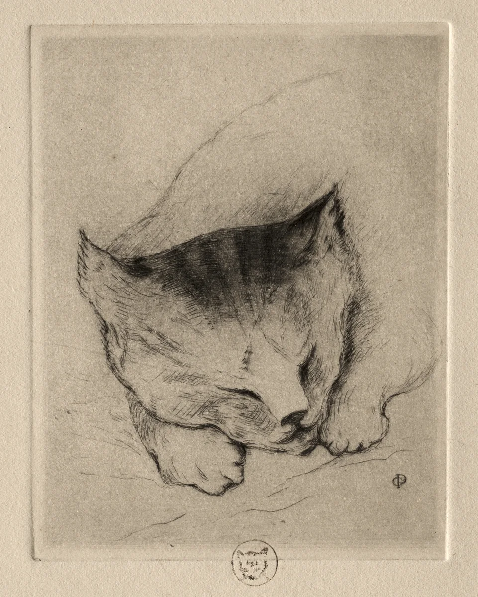 Six Etchings: Head of a Kitten by Paul Gachet, print, 1895