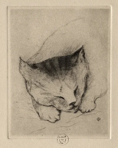 Six Etchings: Head of a Kitten by Paul Gachet, print, 1895