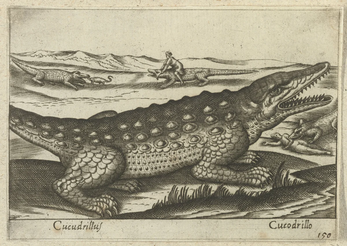 Krokodil by Antonio Tempesta, print, 1565-1630