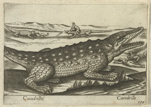 Krokodil by Antonio Tempesta, print, 1565-1630