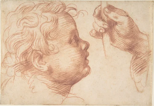 Studies of a Head and a Hand by Andrea del Sarto, drawing, 1510