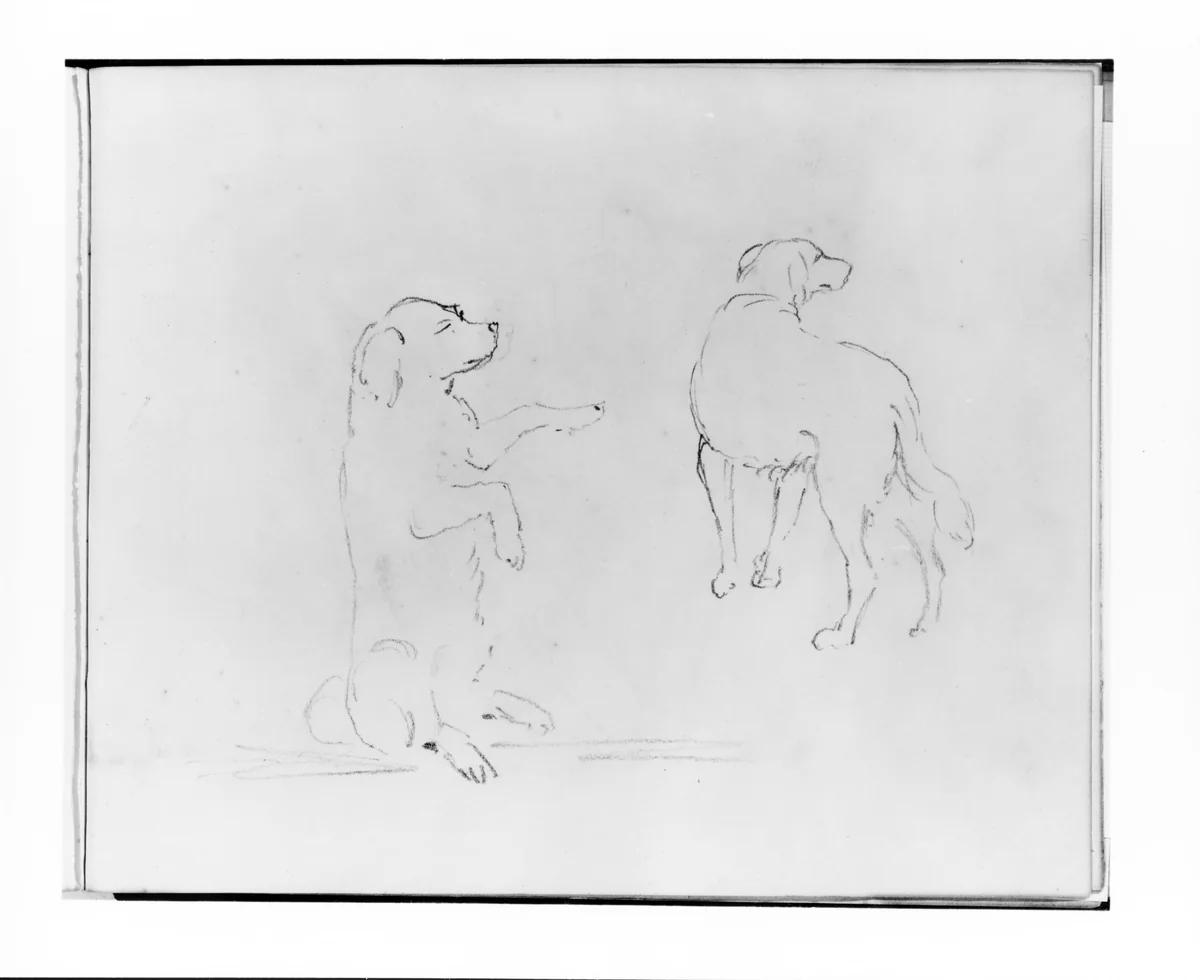 Two Studies of a Dog (from Sketchbook) by Francis William Edmonds, artwork, 1835-1839