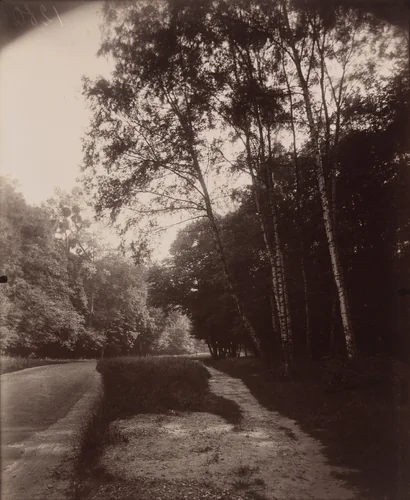 Saint-Cloud by Eugène Atget, photograph, 1926