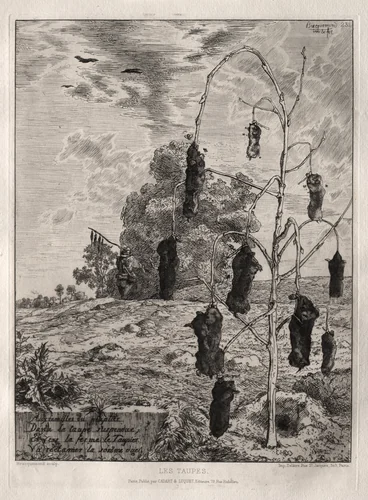 Moles by Félix Bracquemond, print, 1854