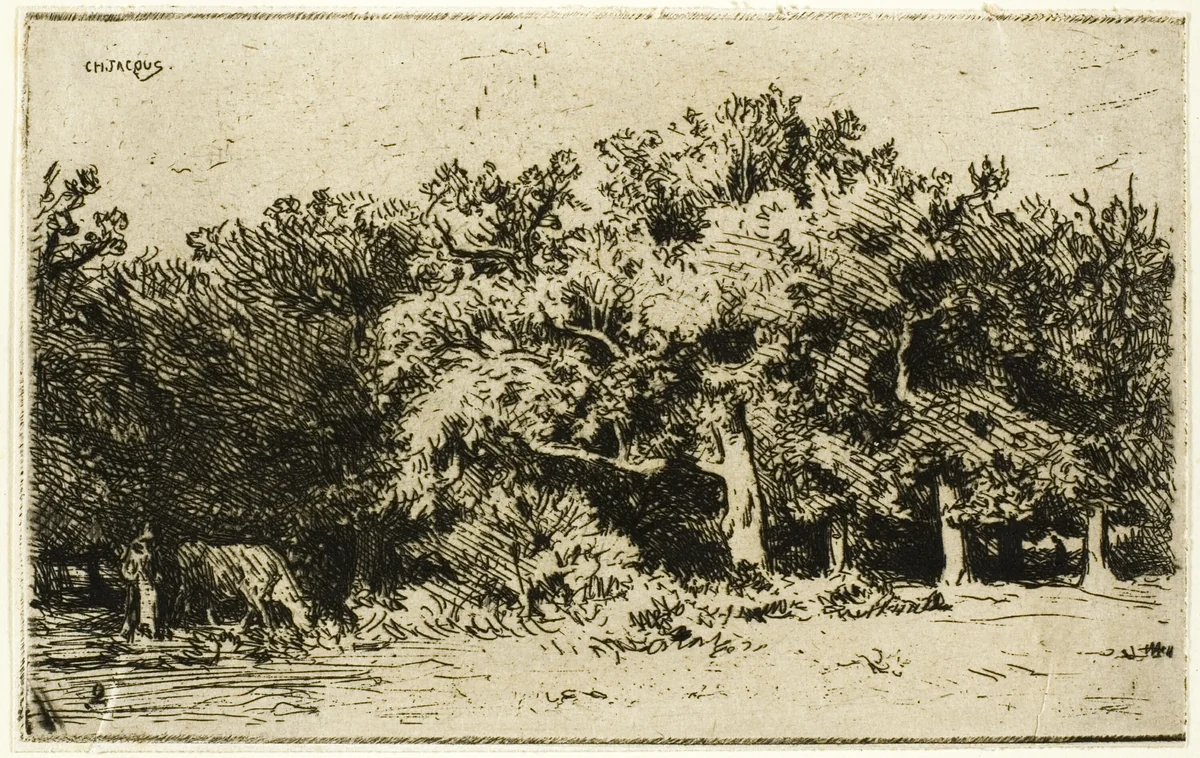 A Part of the Forest of Fontainebleau by Charles-Émile Jacque, print, 1849