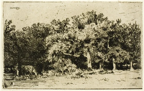 A Part of the Forest of Fontainebleau by Charles-Émile Jacque, print, 1849