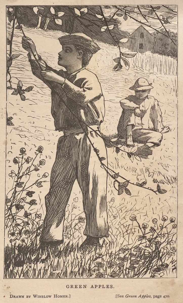 Green Apples by Winslow Homer, print, 1868